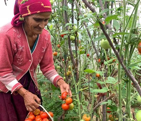 The Evara kitchen — supplied first from Patkote's farms